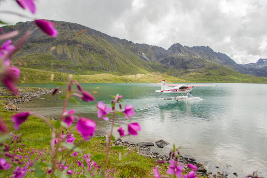 Wilderness Watercolor Camp Alaska, August 1-7 2020