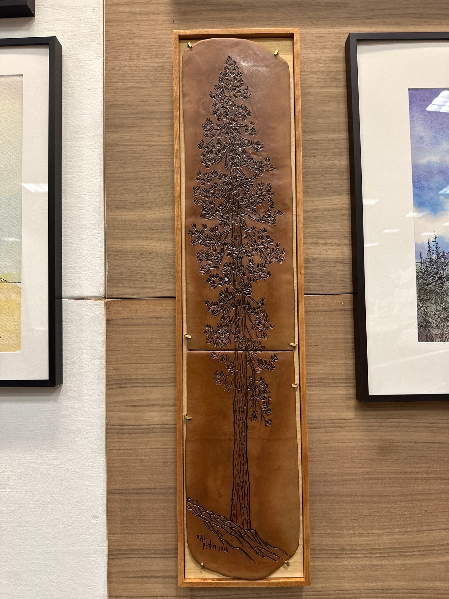 Ponderosa