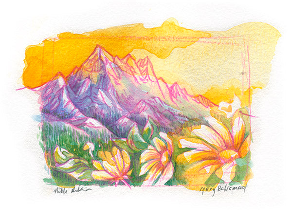 Spring Balsamroot