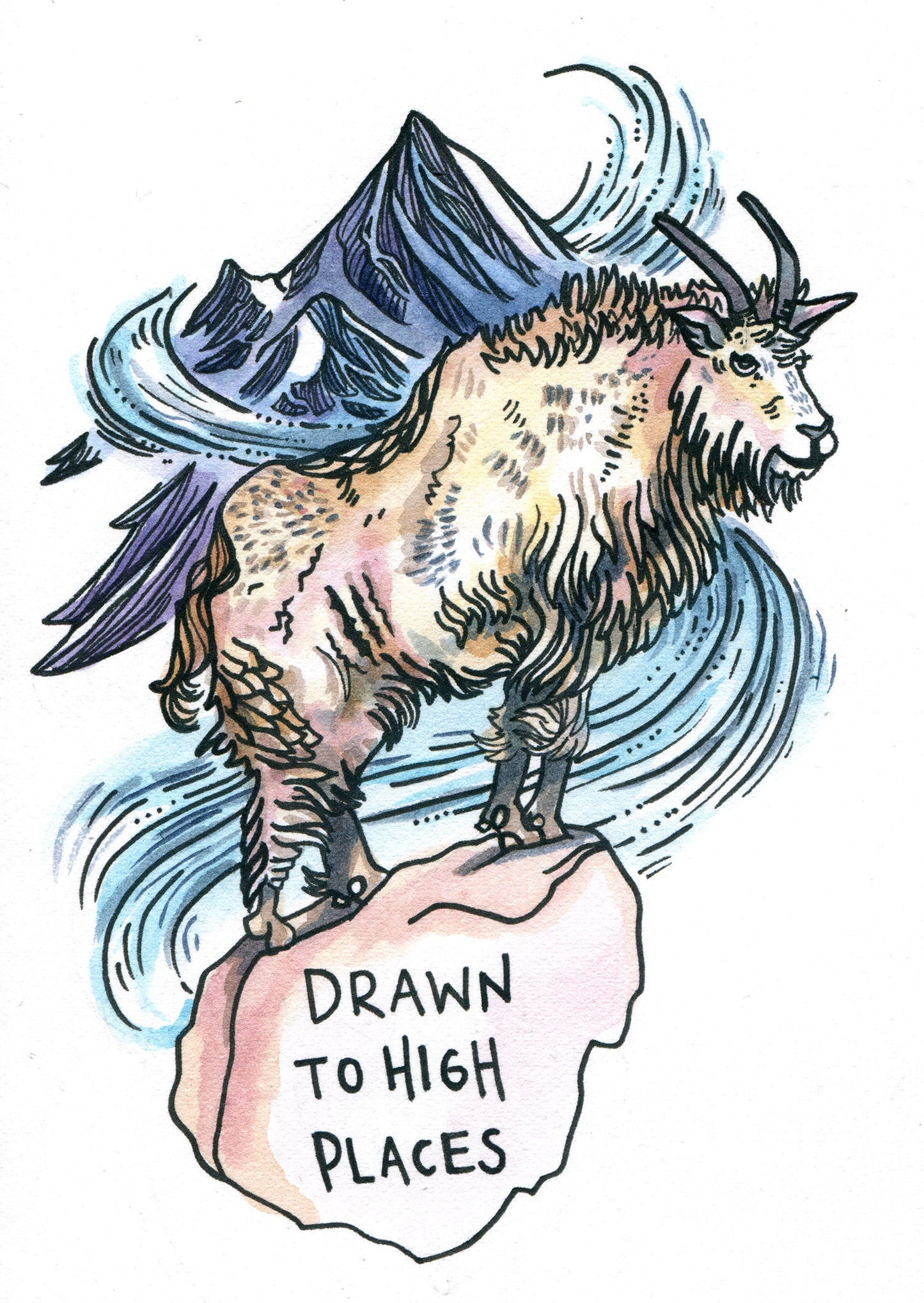 Mountain Goat