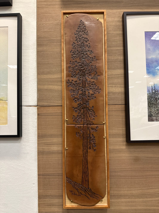 Ponderosa