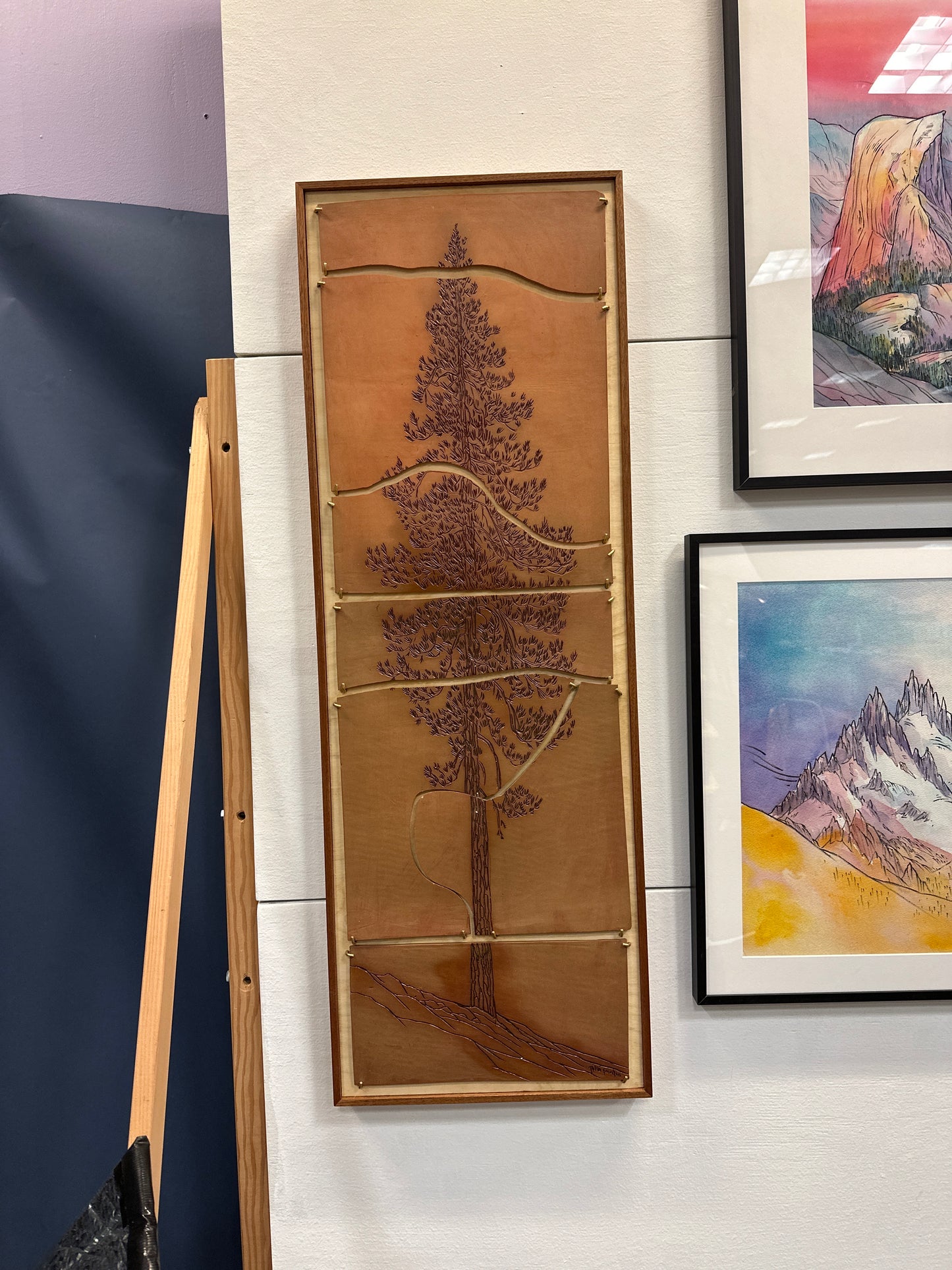 Ponderosa Pine